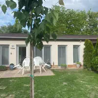 298.jpg