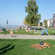 810-13-in_pvkfxz