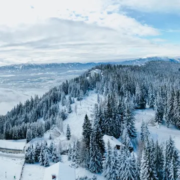 1_vanlui
