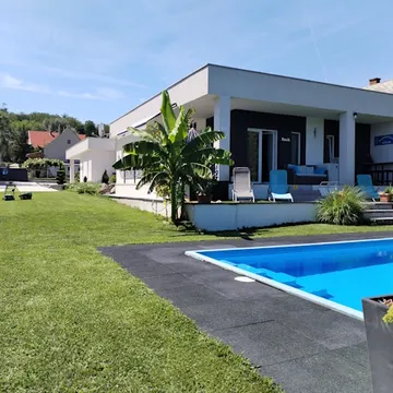 569.jpg