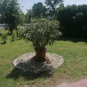 ELŐKERT.jpg