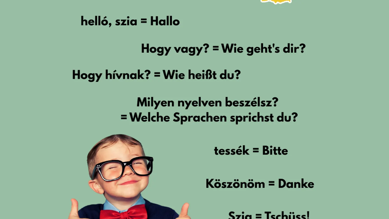 Ungarische Sprache: Herkunft, Besonderheiten & nützliche Vokabeln für deinen Balaton-Urlaub